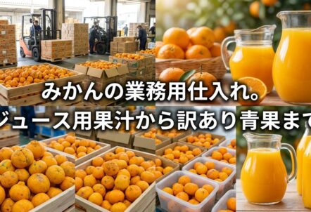 みかんの業務用仕入れ。ジュース用果汁から訳あり青果まで