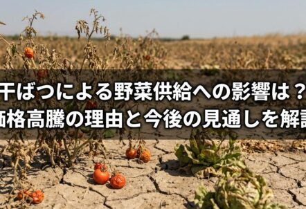 干ばつによる野菜供給への影響は？価格高騰の理由と今後の見通しを解説