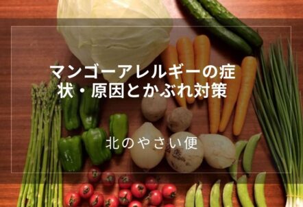 マンゴーアレルギーの症状・原因とかぶれ対策