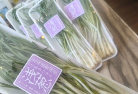 北海道産あさつきの業務用仕入れ｜旬の食材を卸価格で安定供給