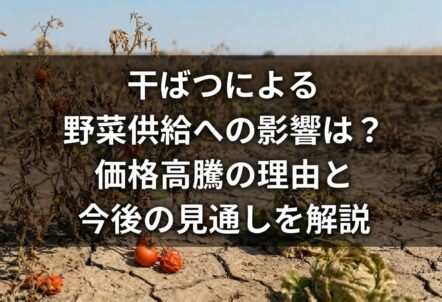 干ばつによる野菜供給への影響は?価格高騰の理由と今後の見通しを解説