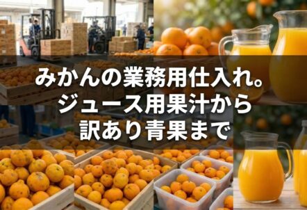 みかんの業務用仕入れ。ジュース用果汁から訳あり青果まで