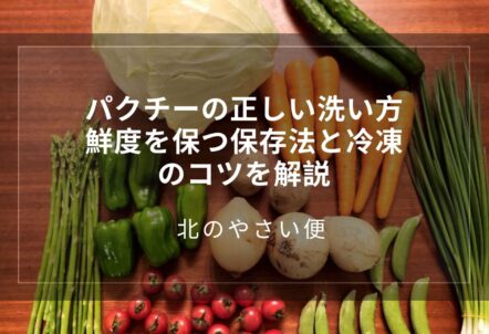 パクチーの正しい洗い方｜鮮度を保つ保存法と冷凍のコツを解説