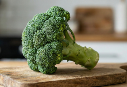 北海道産ブロッコリーが生産量日本一！旬の時期や指定野菜についても解説