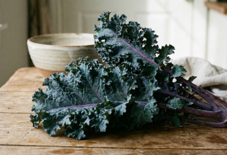 ケールの仕入れ｜業務用・産地直送の無農薬ケールを農家から卸