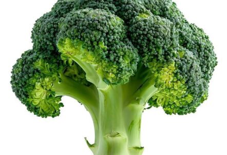 ブロッコリーがスーパーフードと呼ばれる理由｜スプラウトとの違いや栄養・効果を解説