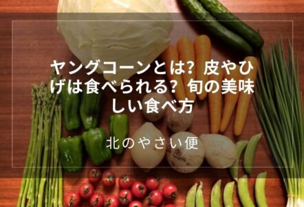 ヤングコーンとは？皮やひげは食べられる？旬の美味しい食べ方