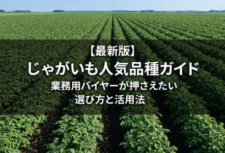 【最新版】じゃがいも人気品種ガイド｜業務用バイヤーが押さえたい選び方と活用法