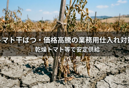トマト干ばつ・価格高騰の業務用仕入れ対策｜乾燥トマト等で安定供給