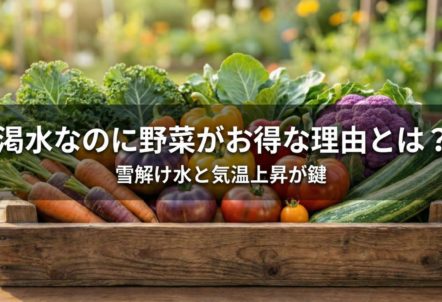 渇水なのに野菜がお得な理由とは?雪解け水と気温上昇が鍵