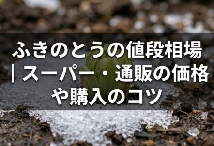 ふきのとうの値段相場｜スーパー・通販の価格や購入のコツ