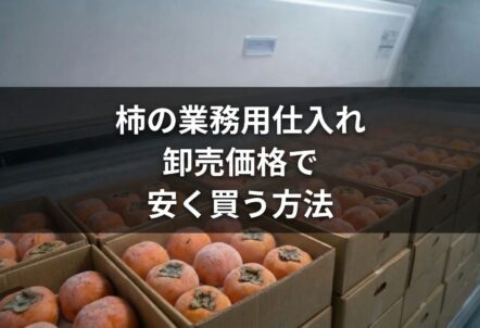 柿の業務用仕入れ｜卸売価格で安く買う方法