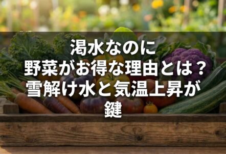 渇水なのに野菜がお得な理由とは？雪解け水と気温上昇が鍵