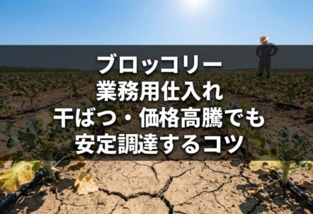 ブロッコリー業務用仕入れ｜干ばつ・価格高騰でも安定調達するコツ
