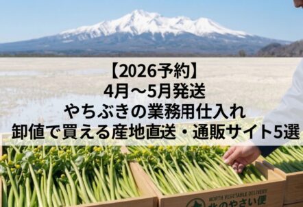 【2026予約】4月〜5月発送｜やちぶきの業務用仕入れ｜卸値で買える産地直送・通販サイト5選
