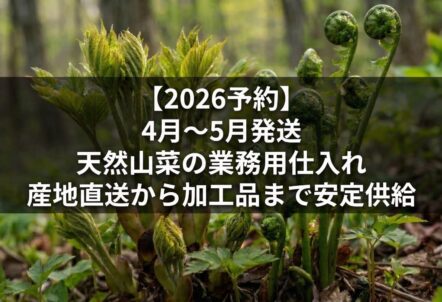 【2026予約】4月〜5月発送｜天然山菜の業務用仕入れ｜産地直送から加工品まで安定供給