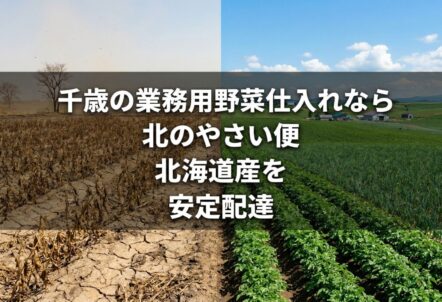 千歳の業務用野菜仕入れなら北のやさい便｜北海道産を安定配達
