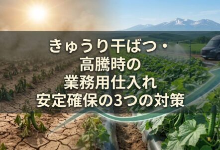 きゅうり干ばつ・高騰時の業務用仕入れ｜安定確保の3つの対策