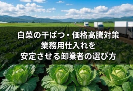 白菜の干ばつ・価格高騰対策｜業務用仕入れを安定させる卸業者の選び方