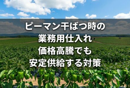 ピーマン干ばつ時の業務用仕入れ｜価格高騰でも安定供給する対策