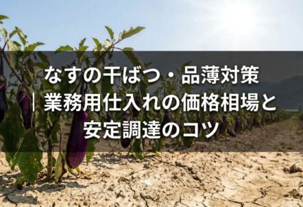なすの干ばつ・品薄対策｜業務用仕入れの価格相場と安定調達のコツ