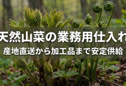 【2026予約】4月〜5月発送｜天然山菜の業務用仕入れ｜産地直送から加工品まで安定供給