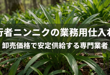 【2026予約】4月〜5月発送｜行者ニンニクの業務用仕入れ｜卸売価格で安定供給する専門業者