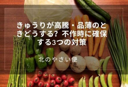 きゅうりが高騰・品薄のときどうする？不作時に確保する3つの対策