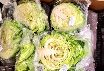 キャベツ