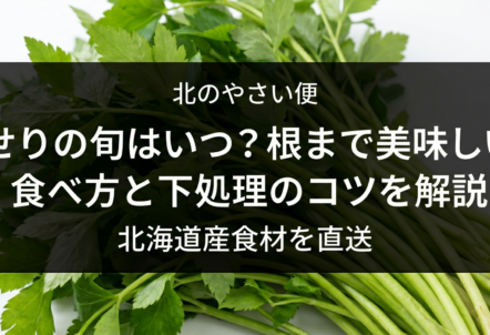 せりの旬はいつ？根まで美味しい食べ方と下処理のコツを解説