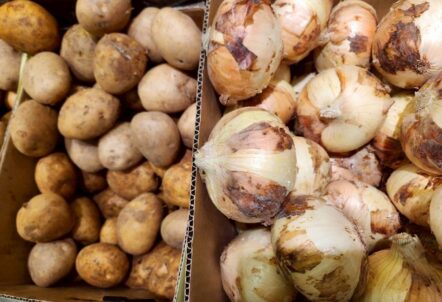 じゃがいもたまねぎ