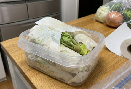 キッチンペーパーたらの芽