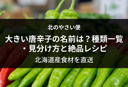 大きい唐辛子の名前は？種類一覧・見分け方と絶品レシピ