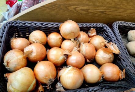 たまねぎ