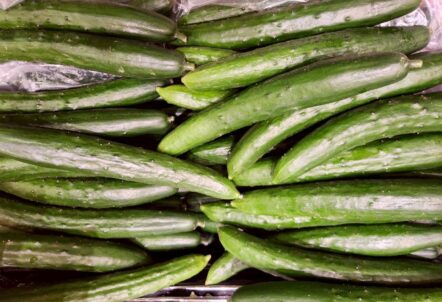 きゅうり