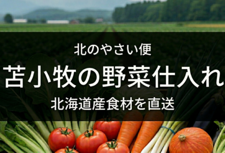苫小牧の業務用野菜仕入れは北のやさい便｜北海道産を安定供給