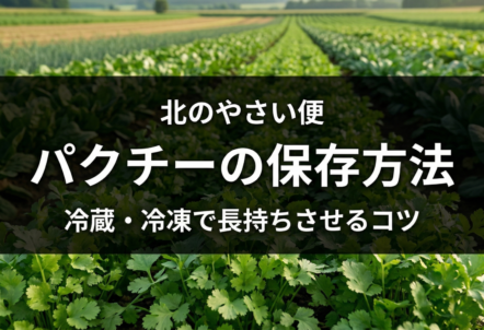 パクチーの保存方法｜冷蔵・冷凍で長持ちさせるコツ。乾燥やオイル漬けも解説