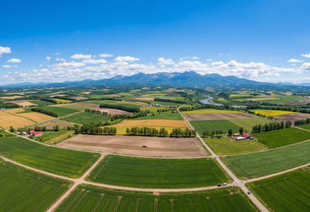 北海道の広大な大地のイメージ