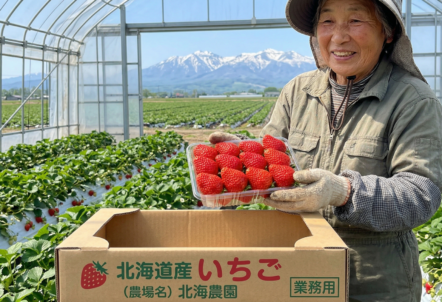 北海道いちご