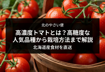 高濃度トマトとは？高糖度な人気品種から栽培方法まで解説