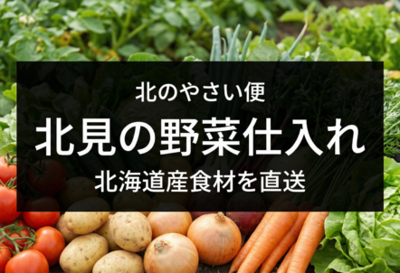 北見の野菜を業務用仕入れ｜産地直送「北のやさい便」の強み
