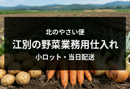 江別の野菜業務用仕入れは「北のやさい便」｜小ロット・当日配送