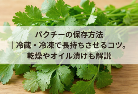 パクチーの保存方法｜冷蔵・冷凍で長持ちさせるコツ。乾燥やオイル漬けも解説