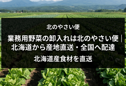 業務用野菜の卸入れは北のやさい便｜北海道から産地直送・全国へ配達