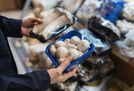 スーパーのきのこ売り場の様子