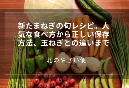 新たまねぎの旬レシピ。人気な食べ方から正しい保存方法、玉ねぎとの違いまで