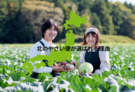 北のやさい