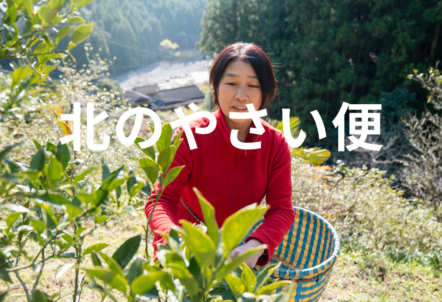 北のやさい
