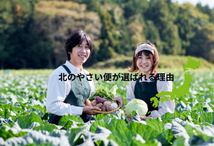北のやさい