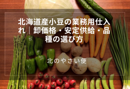 北海道産小豆の業務用仕入れ｜卸価格・安定供給・品種の選び方